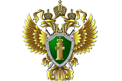 Прокуратура требует от яхт-клуба «Буревестник» освободить часть акватории Химкинского водохранилища