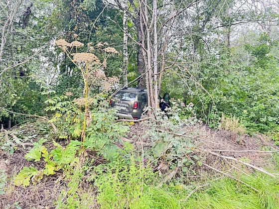 Сотрудники ОМОН «Авангард» столичного главка Росгвардии пришли на помощь женщине, попавшей в ДТП