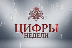 Более тысячи единиц оружия и боеприпасов изъяли из незаконного оборота столичные росгвардейцы за неделю