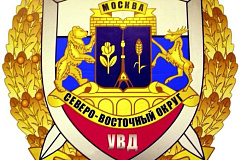 Сотрудники Госавтоинспекции Северо-Востока Москвы провели акцию «Родительский патруль» на территории округа